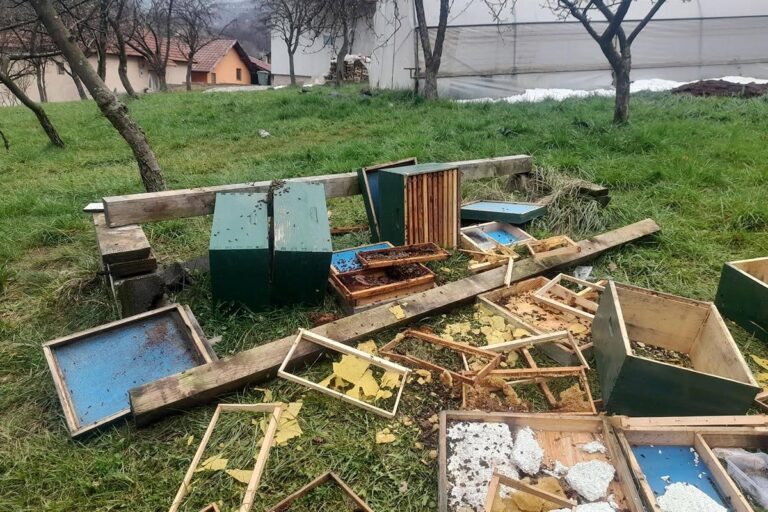 20260404131419_958911