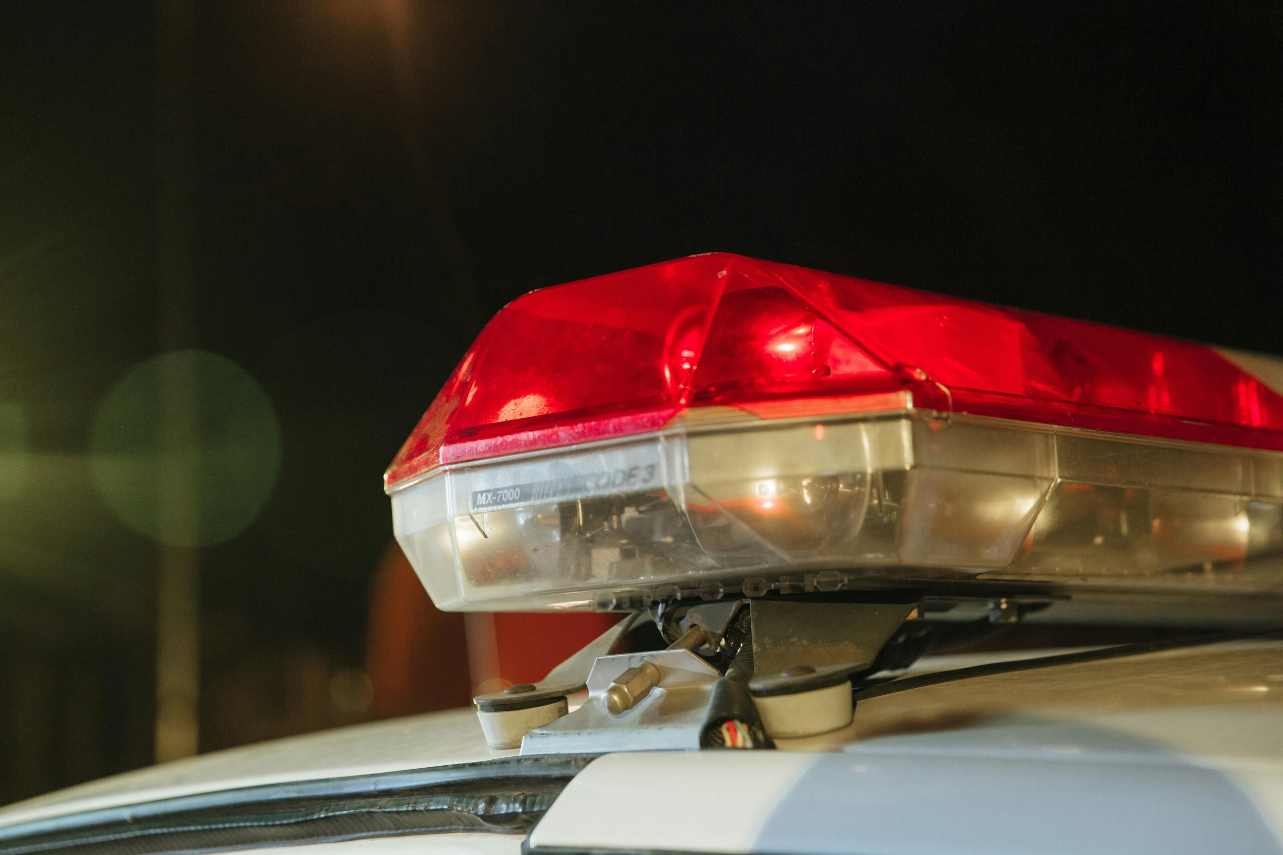 Oglasila se policija o slučaju Anje Ljubojević