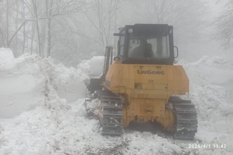 20260401115931_958458