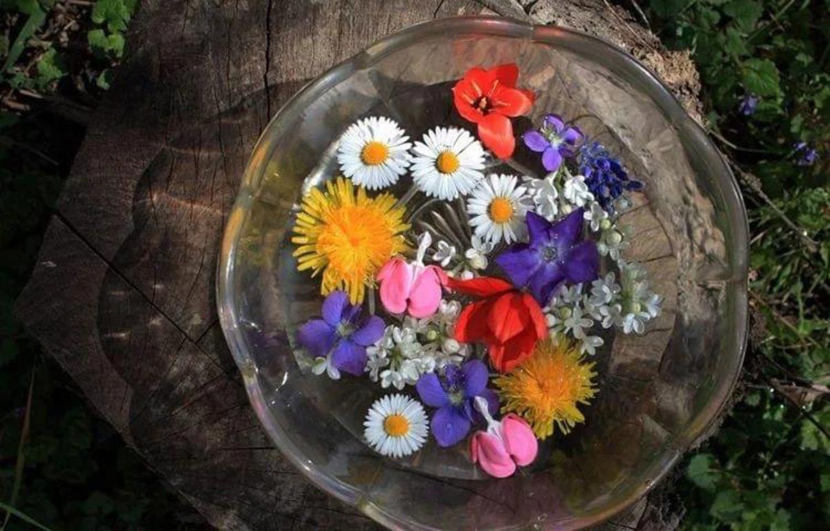 DANAS SU CVIJETI: Praznik koji simbolizuje svečani ulazak Hrista u Jerusalim