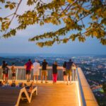 banj-brd-1024x683 (1)