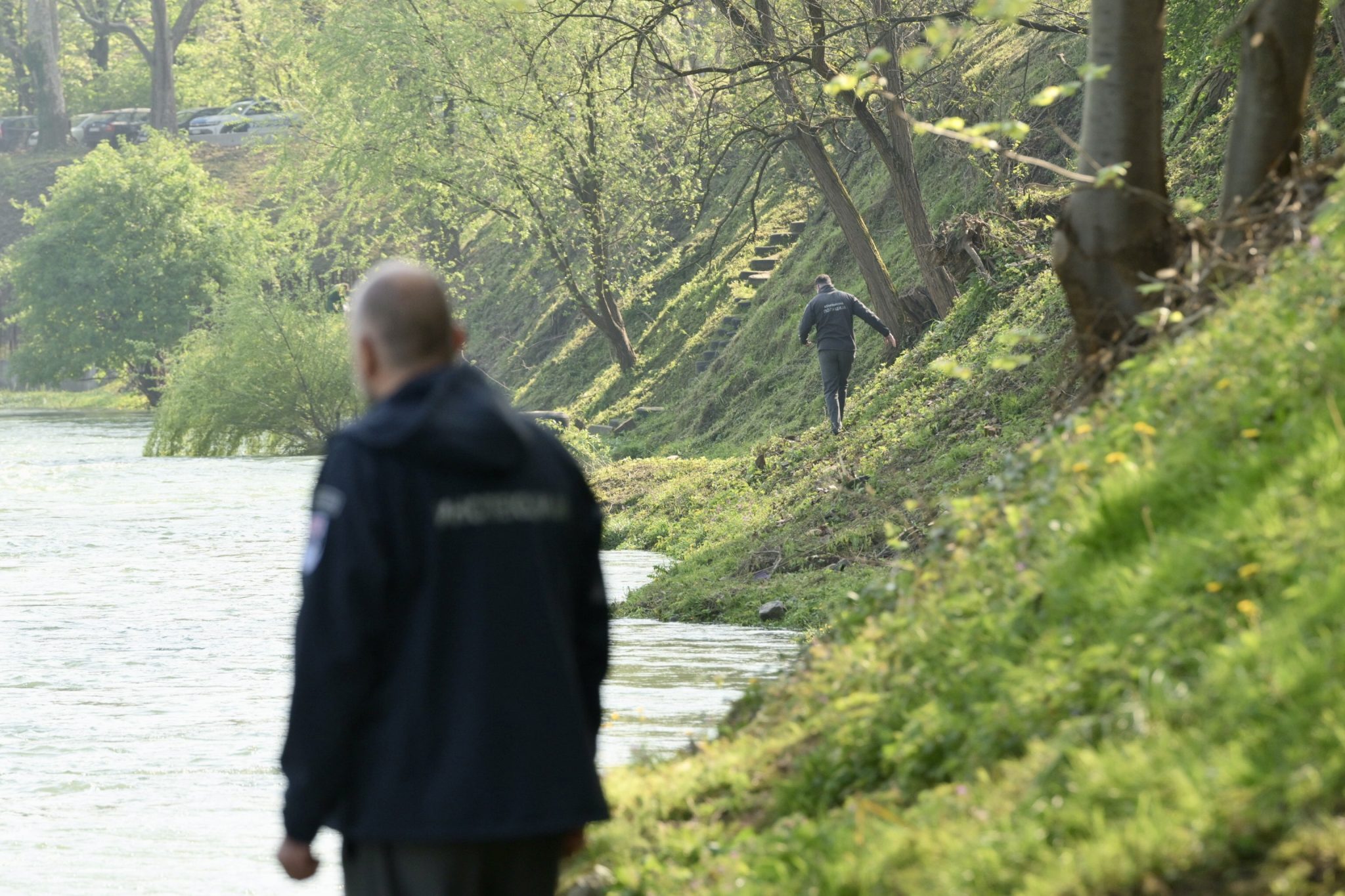 INSPEKCIJSKA KONTROLA Smijenjen nadzor, slijedi sadnja novih vrba uz Vrbas