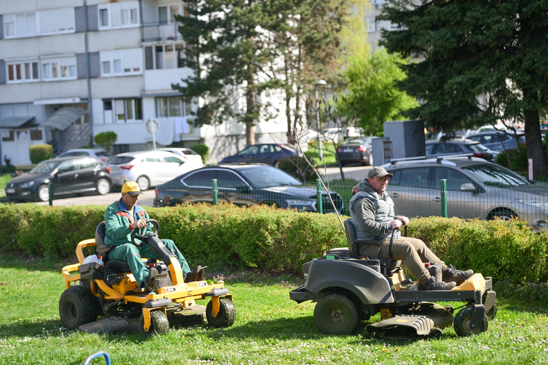 GRAD SE SREĐUJE: Pojačane aktivnosti na uređenju zelenila