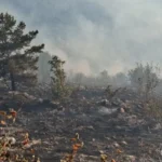 požar, trebević