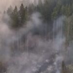 pozar-Bos.-Petrovac-foto-ftv-youtube-screenshot-2-427x285