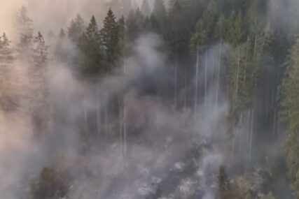 pozar-Bos.-Petrovac-foto-ftv-youtube-screenshot-2-427x285